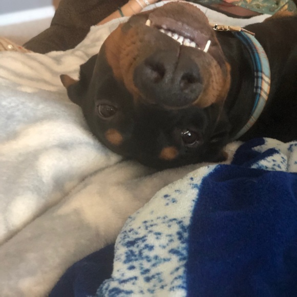 Meet your Posher, Melinda - Picture 1 of 1